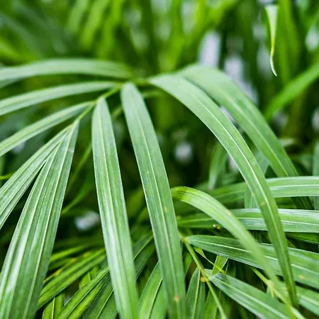 Vendégház Lisbon Lodge *