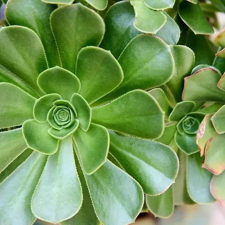 Lisbon Lodge Affittacamere