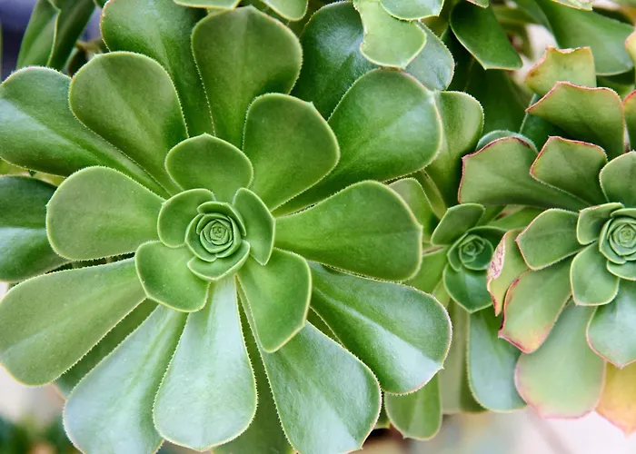 Lisbon Lodge Gasthuis